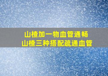 山楂加一物血管通畅 山楂三种搭配疏通血管